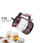 چایساز دسینی مدل DS-1900